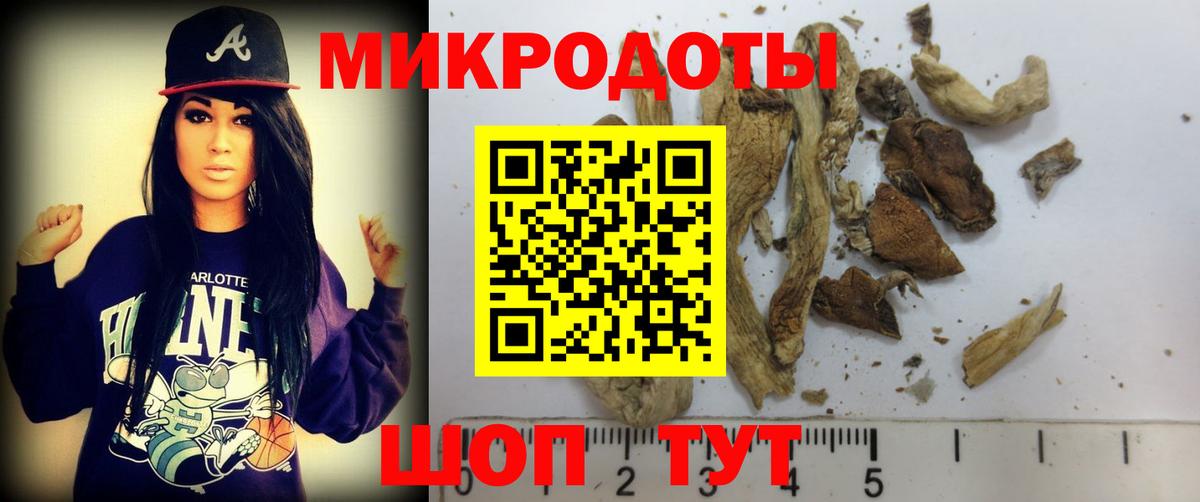 закладка  Вход с VPN  Ефремов  Галлюциногенные грибы Cubensis 